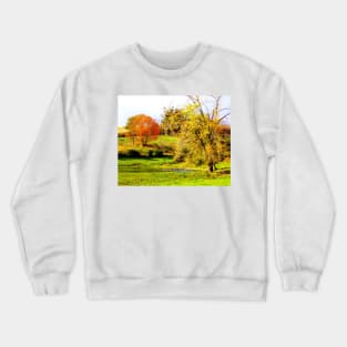 Pastoral Crewneck Sweatshirt